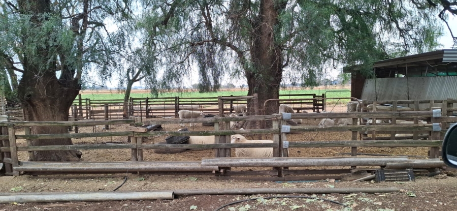 Commercial Property for Sale in Bainsvlei Free State
